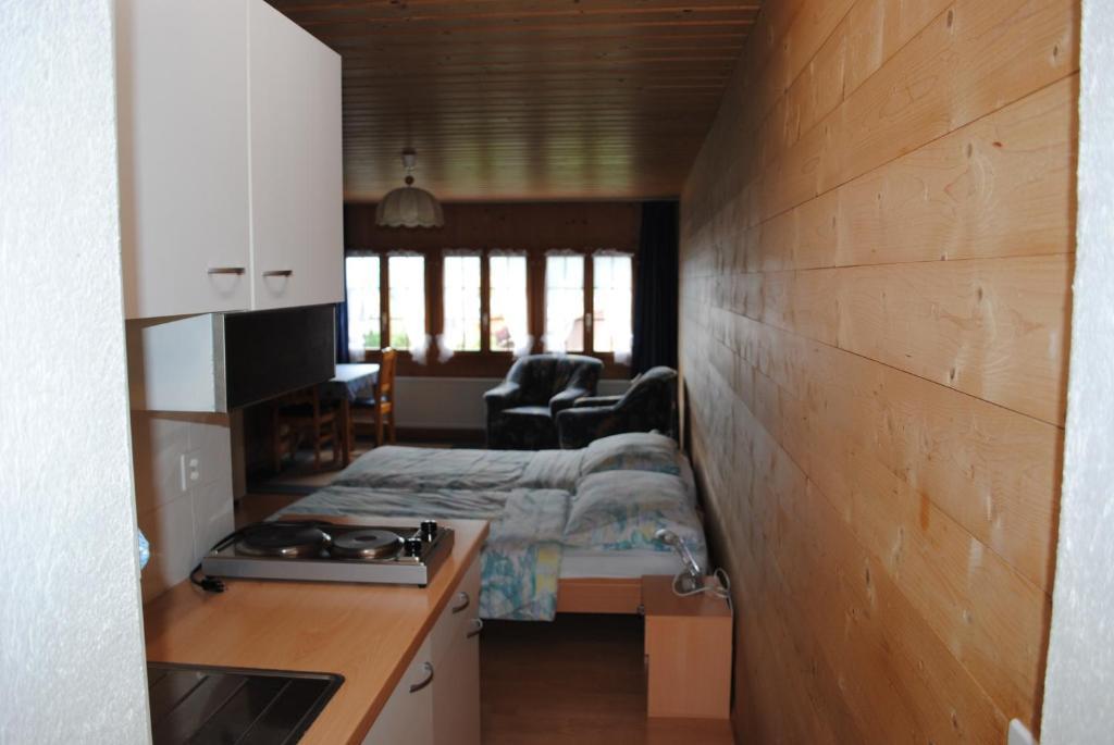 Studio Glaus Apartment Wilderswil Room photo